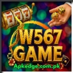 W567 Game