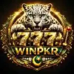 Winpkr777 Game